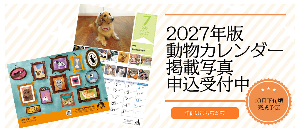 2027年版動物カレンダー掲載写真申込受付中！