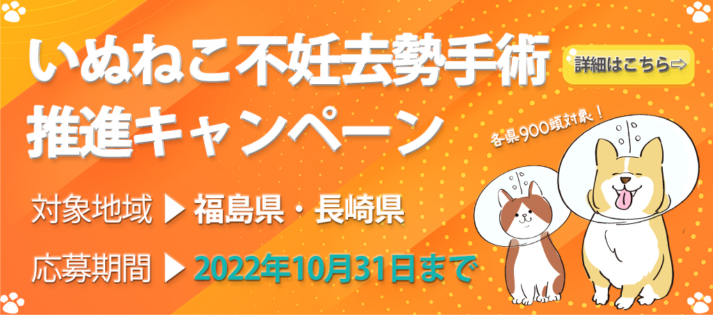 公益社団法人日本動物福祉協会